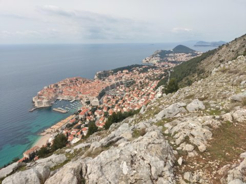 Split
